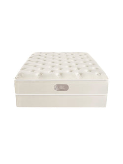 Signature Plush Mattress