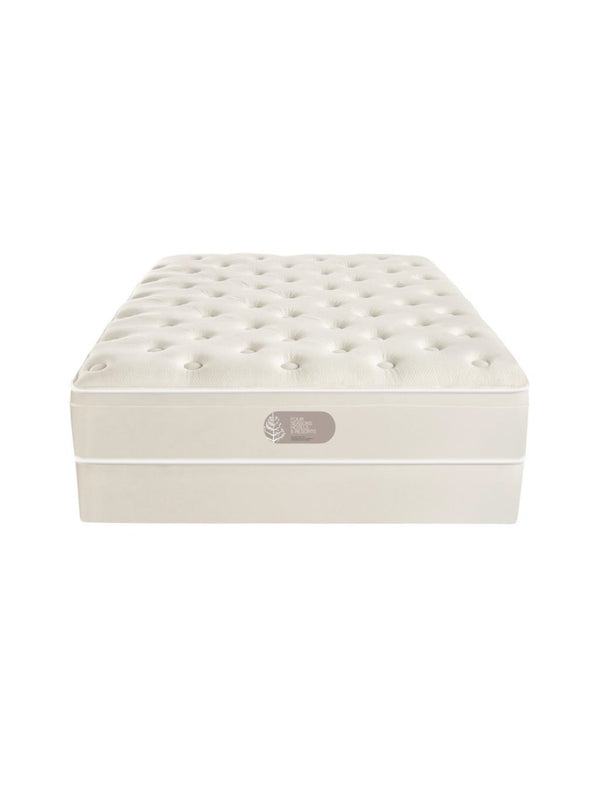 Signature Plush Mattress