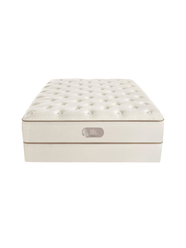 Signature <br>Mattress